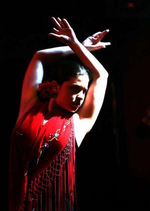 Фламенко – страстный андалусский танец (фото+видео)