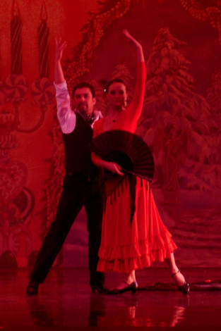 Черта испанского государственного танца (фото, видео)