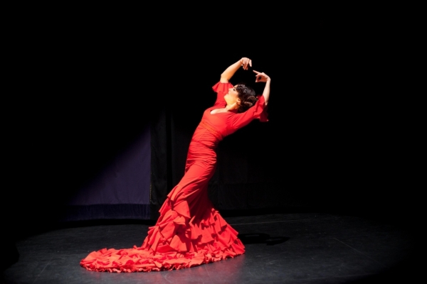 Онлайн-обучение фламенко – значимость статичных фаз